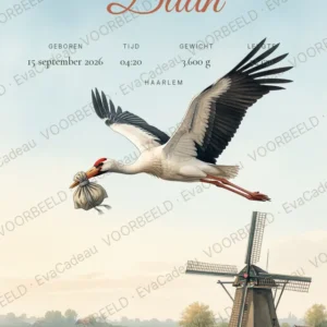 Ooievaar boven de polder
